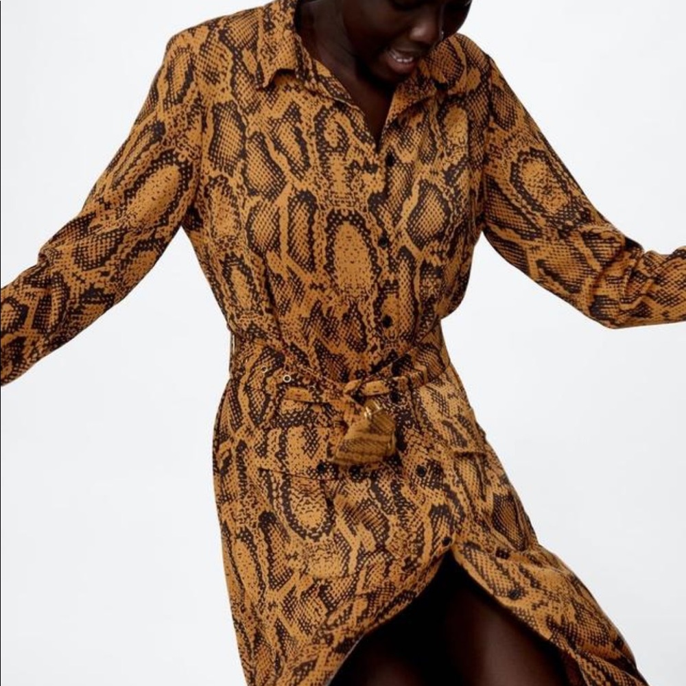 Zara Snakeskin Tunic